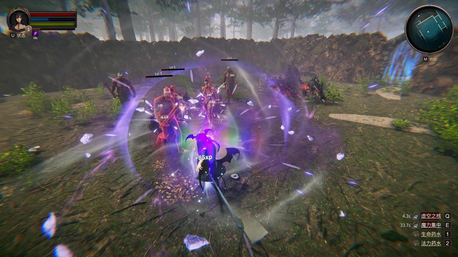 虚幻之地/Realm of Illusion